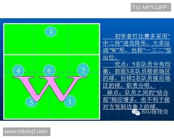 西安排球队的战术调整与控制能力分析